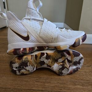 Lebron Nike Shoes